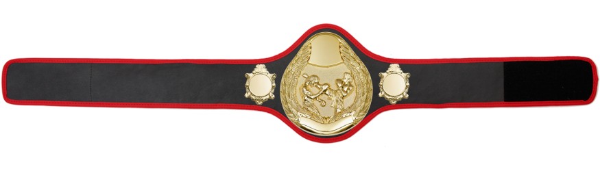 THAI BOXING CHAMPIONSHIP BELT-PRO301/G/TBOG- 10 + COLOURS THAI BOXING CHAMPIONSHIP BELT-PRO301/G/TBOG- 10 + COLOURS